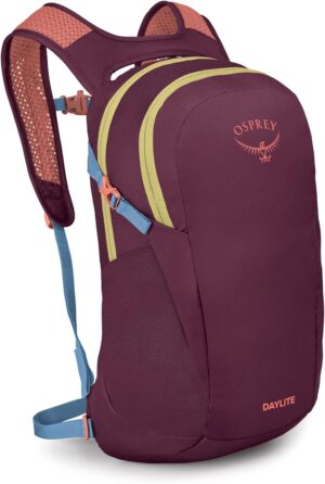 Osprey Daylite Commuter Backpack, Moody Burgundy